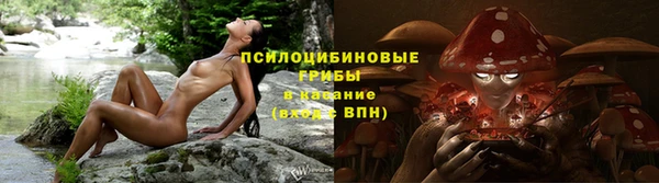 дмт Абинск