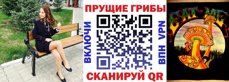 Псилоцибиновые грибы Magic Shrooms где купить Электросталь