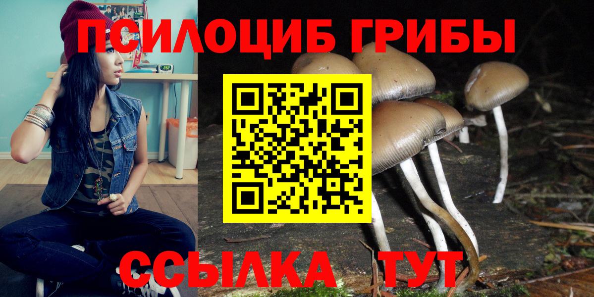 Галлюциногенные грибы GOLDEN TEACHER  Галлюциногенные грибы Cubensis  Электросталь  Вход с VPN 
